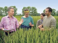 Saatgut betrifft uns alle